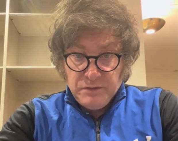 Milei habló en tik tok sobre salud y educación pública